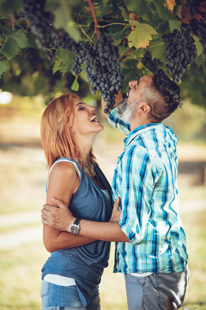 Beautiful smiling couple having fun at a vineyard.の写真素材