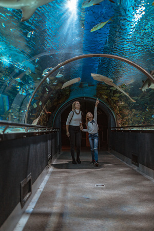 Happy mother and daughter walking through oceanarium tunnel fascinated by ocean world.の写真素材