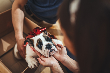 The young happy couple is moving into a new house. They are unpacking boxes with things to their new living room and their dear puppy is playing in the box.の写真素材