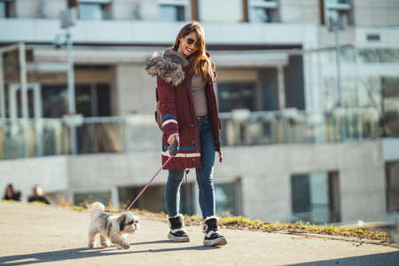 Beautiful young fashion woman is spending time with her cute pet dog, walking by the city street.の写真素材