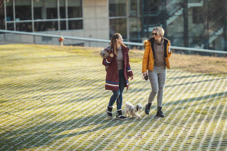 Beautiful young fashion women are spending time with their cute pet dog playing, walking by the city street.の写真素材
