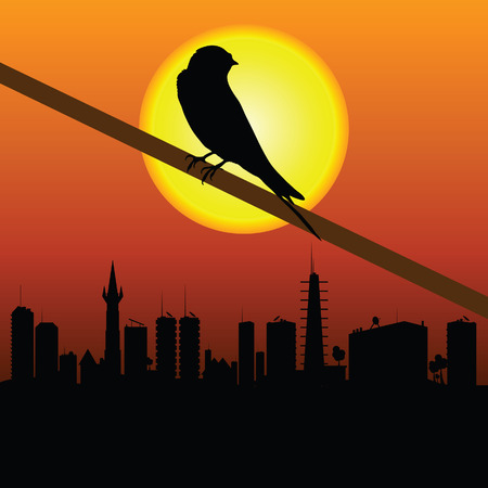 sparrow with city in background vector illustrationのイラスト素材