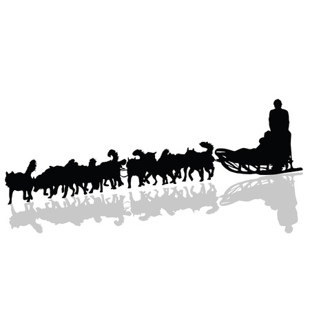dogs pulling a sled in black vector silhouetteのイラスト素材