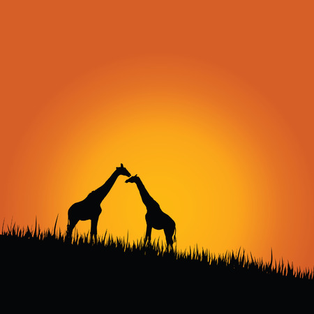 giraffe in wilderness color vector illustrationのイラスト素材