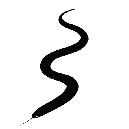 snake vector illustration