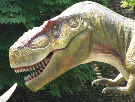 dinosaur head in parkの写真素材