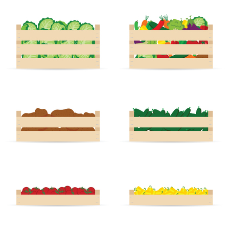 crates for vegetables empty set illustration in colorfulのイラスト素材
