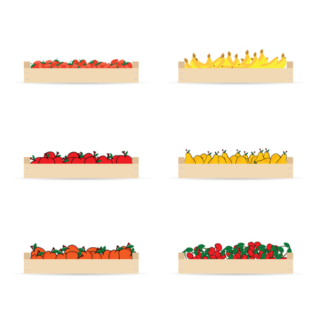 crates for fruits set illustration in colorfulのイラスト素材