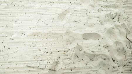 Sand background with small feet steps printsの写真素材