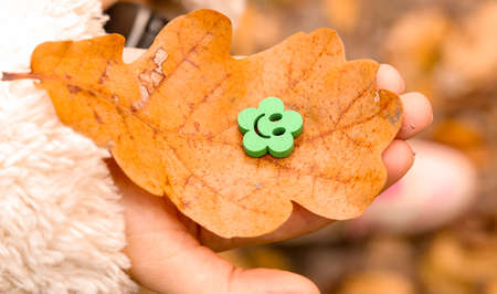 Autumn nature smile. Dry fall season oak leaf in child palm with green wooden acessory in flower shape with smiley faceの写真素材