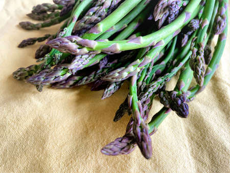 Raw and fresh green asparagus sticks on yellow cloth background.の写真素材