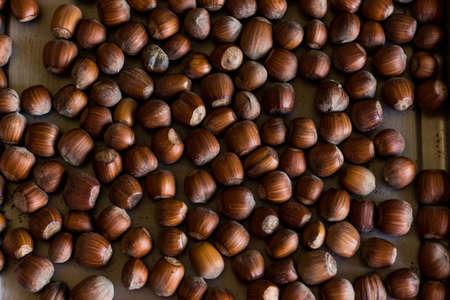 Photo of hazelnuts on a tray on table. Hazelnut nut health organic brown. Top viewの写真素材