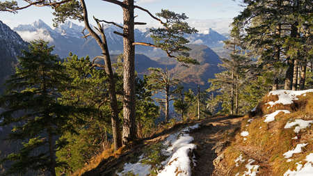 Hiking trail covered with first snow during sunny morning above Alpensee lake, Bavaria, Germanyの写真素材