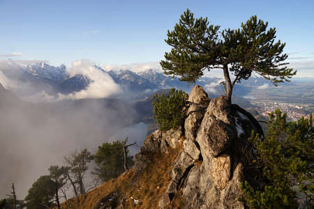 Beautiful panoramic view of Bavarian Alps above Alpsee lake with pine tree on rocky summit, Fussen, Germanyの写真素材