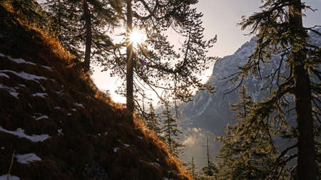 First sunlight beaming through trees in Bavarian Alps, Fussenの写真素材
