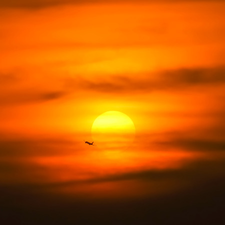 wild shot of silhouette Airplane with sunset in backgroundの写真素材