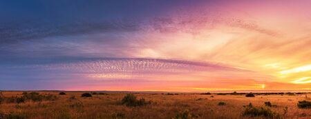 Beautiful Panorama sunset and sunrise at west coast national park , soth africaの写真素材