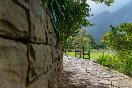 Perspective Walk way through the garden at botanical garden in kirstenbosch cape town south africaの写真素材