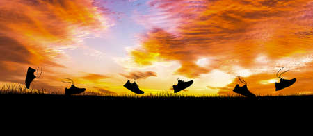 Concept design for Trail running : Silluette running Shoe runnong along the track at the sunset time.の写真素材