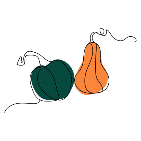 One line art pumpkin. Agriculture. Vegetarian food. minimalism styleのイラスト素材