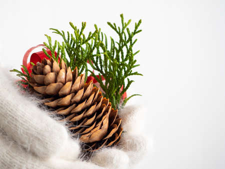 Hands in white gloves hold a Christmas decorの写真素材