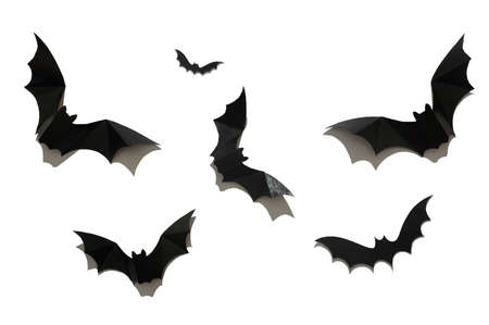 Black paper bat on a white background. Halloween concept. With a hard black shadow. View from above.の写真素材