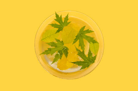 Autumn leaves lie in a plate of water. On a yellow background. For design.