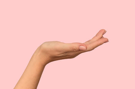 Female empty hand on a pink background. Concept. Close-up. For design.の写真素材