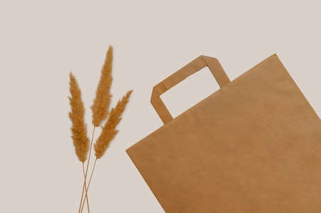 Craft bag and cane. The concept of natural products. On a gray background. Place for text.