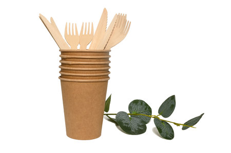Ecological disposable tableware and eucalyptus branch. Beige glasses, forks and paper knives. On a white background.の写真素材