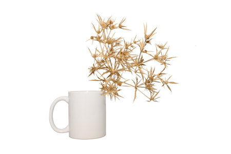 White mug with a branch of dead wood. On a wooden table. On a gray background. Layout.の写真素材