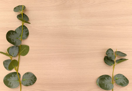 Branches of green eucalyptus on a wooden background. Place for text. Layout.