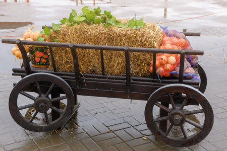 Decorative cart with hay vegetables onions. On the street in autumn on the stones.