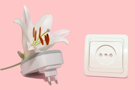 White electric air freshener. With a white lily. Socket.