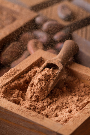 Cocoa powder in the air and the box with chocolate closeupの写真素材