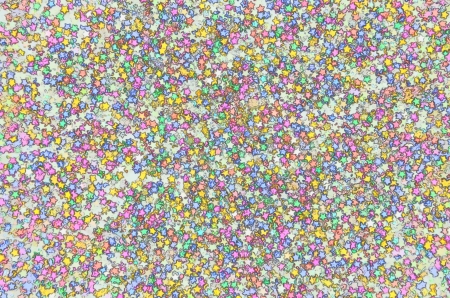 stars