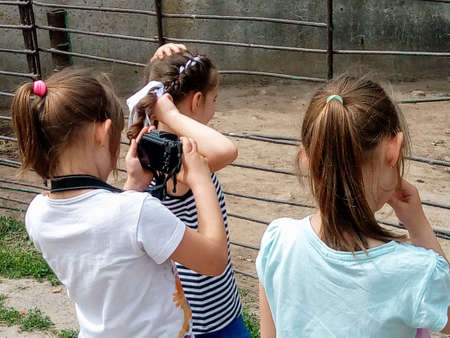 girl and two twin girls take pictures of animals in the zoo on the camera, back view. High quality photoの写真素材