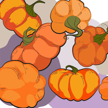 Orange pumpkins, Autumn card, vector background. Vector illustration