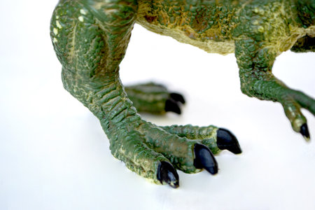 Tyrannosaurus dinosaurs toy isolated on white background with clipping path. High quality photoの写真素材