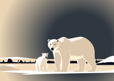 The white bear and her cub bear walks through the snow. Mother and child. The glacier, snow-covered plains. Starry night in the North. Landscapes of the Arctic. Vector illustrationのイラスト素材