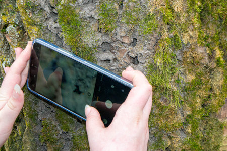 A tree trunk with moss on it and a sky background. High quality photoの写真素材