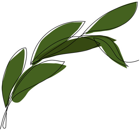 Skin care concept. Landing page template. Morning routine. Bath time. Organic products for scrubbing and body skin care with natural herbal skin care products, top view. Vector illustrationのイラスト素材