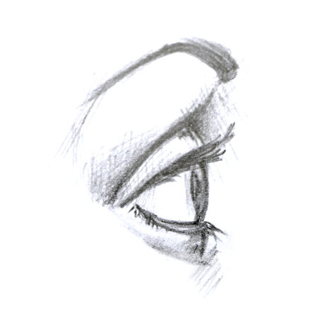 Lady beautiful lashes and brows, eye sketch. Close-up of woman eye. Black and white drawing. High quality illustrationの写真素材