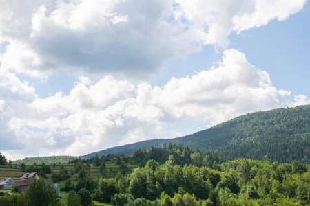 Green forest natural landscape on the mountain in summer. Beautiful colorful summer spring natural...