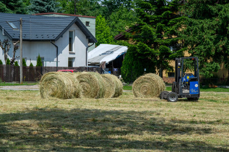 Some hay bales with green background. Sheaves of freshly harvested hay in a field of cut grass. Farm routine work in summerの写真素材