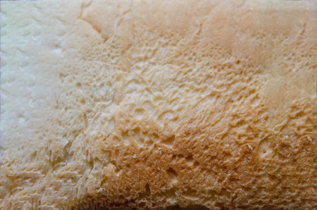 background, texture white as bread. background, texture white as bread. High quality photoの写真素材