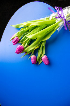 Fresh flower composition, bouquet of bi color pink tulips, isolated baby blue color background. International Women's day, mother's day greeting concept. Copy space, close up, top view, flat lay.の写真素材