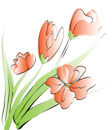 tulip flower card illustrationのイラスト素材