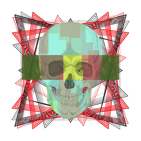 human skull bones skeleton dead anatomy illustrationのイラスト素材