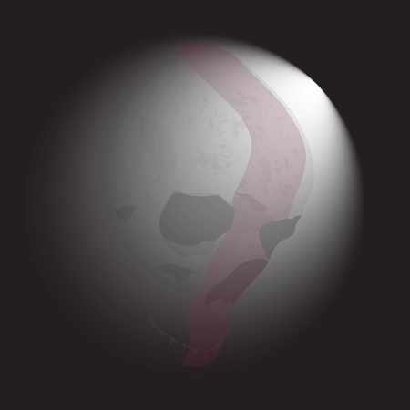 Human skull bones skeleton dead anatomy illustration. T-shirt Graphicsのイラスト素材